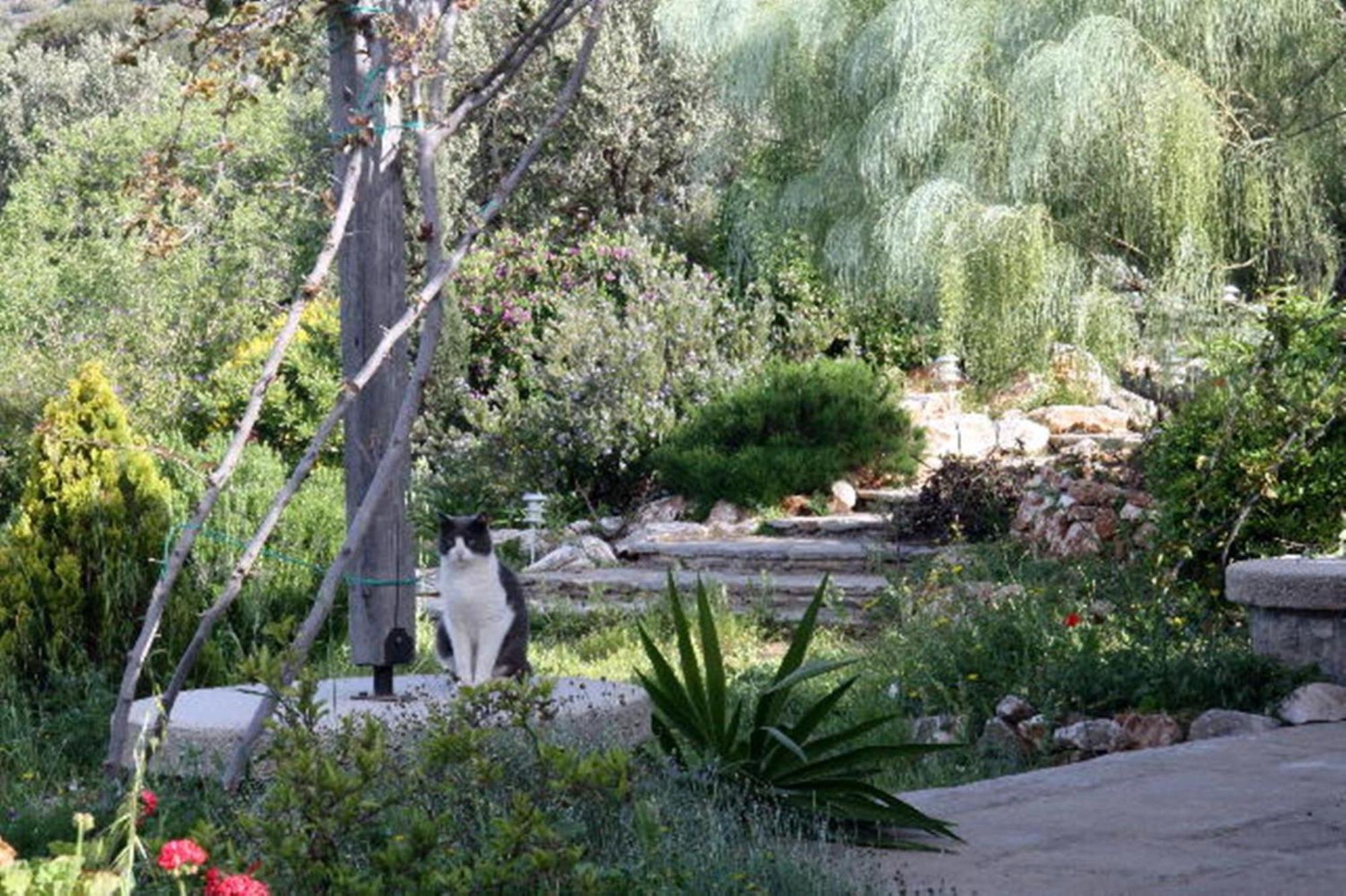 Landhaus To The Garden *